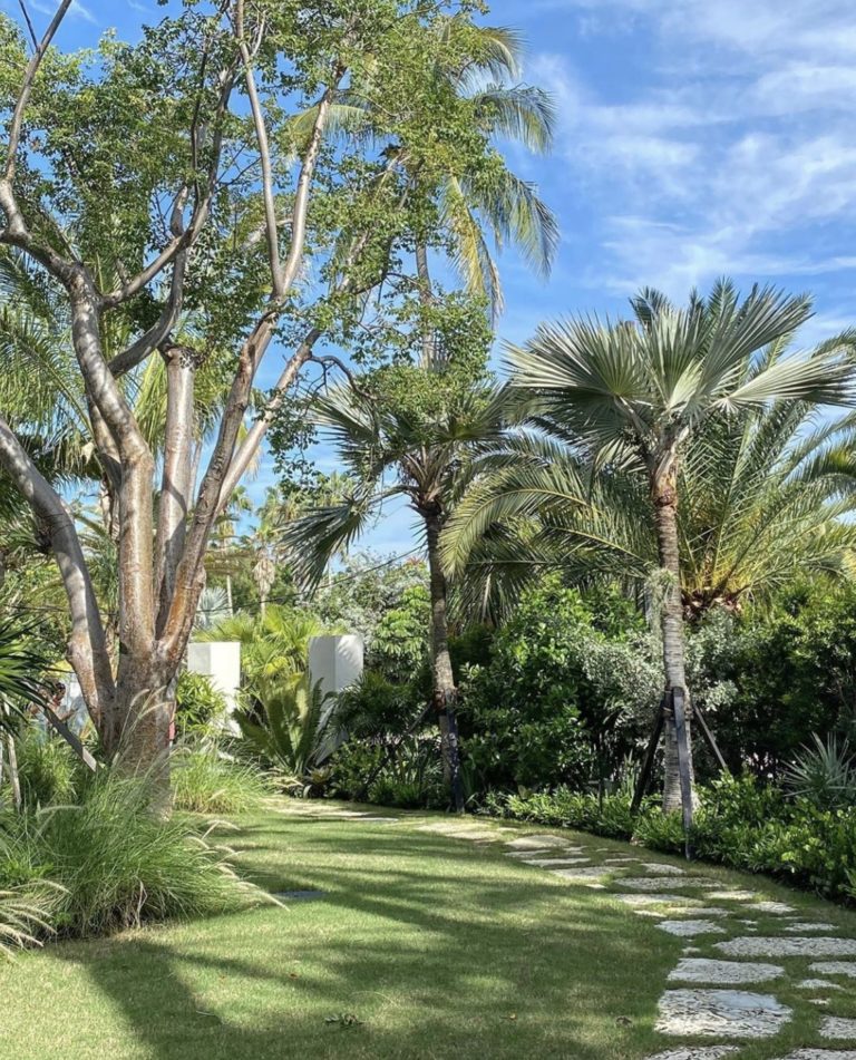 Florida native planting design for residential privacy screening in Key Biscayne